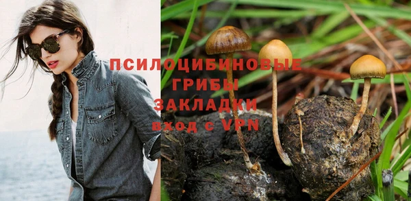 spice Алексин