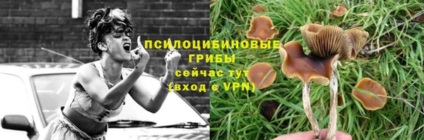 PSILOCYBIN Алексеевка