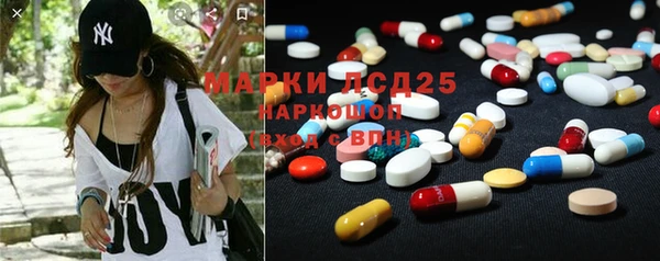 PSILOCYBIN Алексеевка