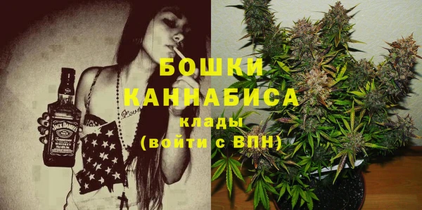 PSILOCYBIN Алексеевка