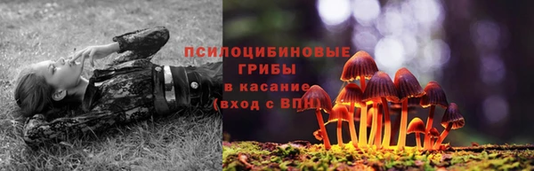 PSILOCYBIN Алексеевка